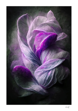 lilac abstract flower