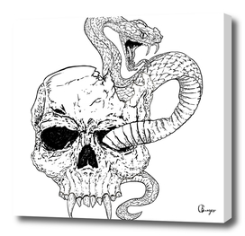 Snake and skull