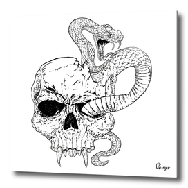 Snake and skull