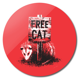 Free cat