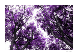 Purple Trees Dream #1 #wall #art