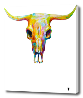 Cow skull with horns, picturesque