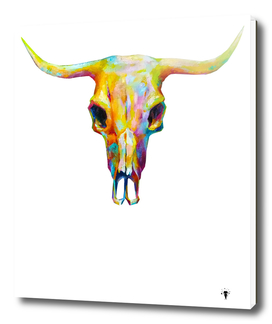 Cow skull with horns, picturesque