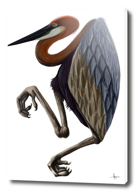Heron goliath bird