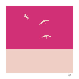 Pink Pelican II