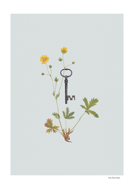 Botanical vintage key