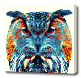 Owl - Colorful Animals