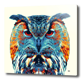 Owl - Colorful Animals