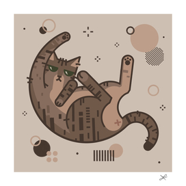 CATS_1