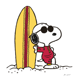 joe cool surf famous dog