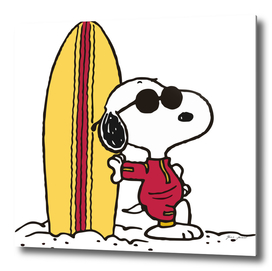 joe cool surf famous dog