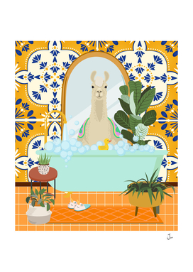 Alpaca Taking a Bath