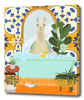 Alpaca Taking a Bath