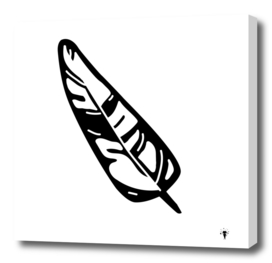 Black and white sheet, bird feather, print for writers.