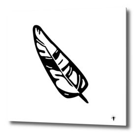 Black and white sheet, bird feather, print for writers.
