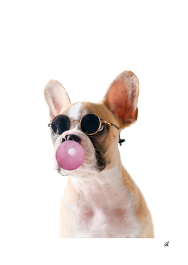 Dog With Bubble Gum