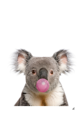 koala with bubble gum
