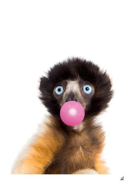 monkey with bubble gum