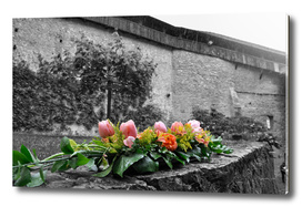 flowers at chateau de chillon