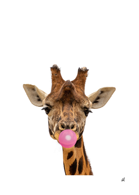 giraffe with bubble gum