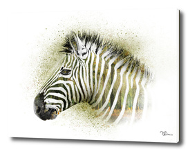 Zebra double exposure