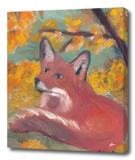 Red Fox Oil Painting