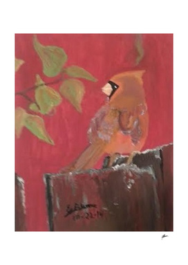 Red Cardinal on a Fence Acrylic Painting