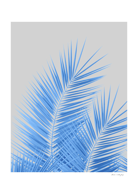Blue Silver Gray Palm Leaves Dream - Cali Summer Vibes #1