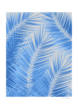 Blue Silver Gray Palm Leaves Dream - Cali Summer Vibes #1a