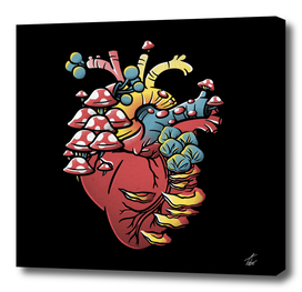 Fungi Heart