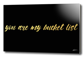 Your are my bucket list