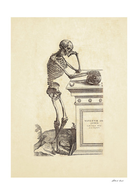 Renaissance anatomic pannel 204