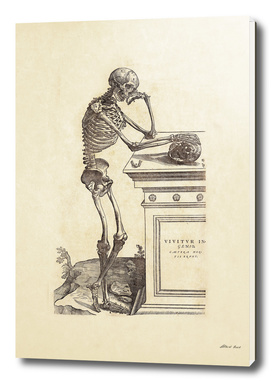 Renaissance anatomic pannel 204