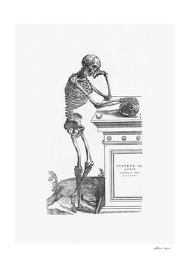 Renaissance anatomic pannel bw 204