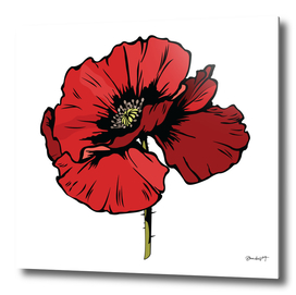 Summer Inspiration With Red Poppies