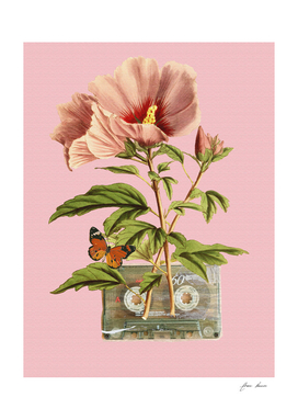 flower with cassette tape