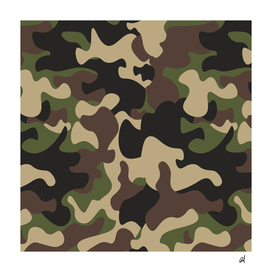 military camouflage