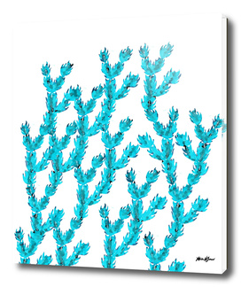 Blue Crystal Succulents
