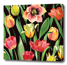 Blooming Spring Flowers. Colorful Tulips