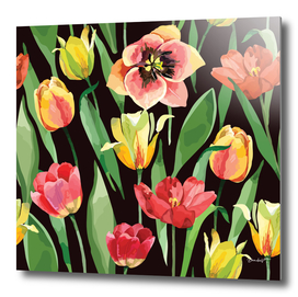 Blooming Spring Flowers. Colorful Tulips