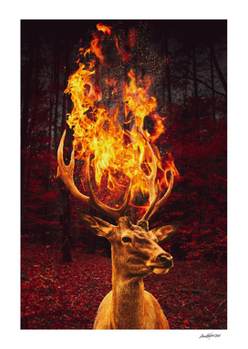 Fire Deer Forest
