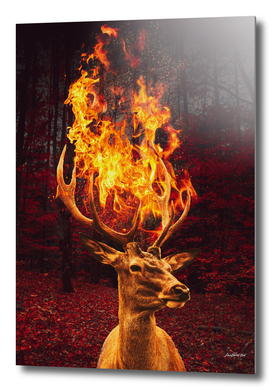 Fire Deer Forest