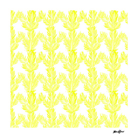 Yellow Succulent