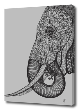 Elephant-Grey