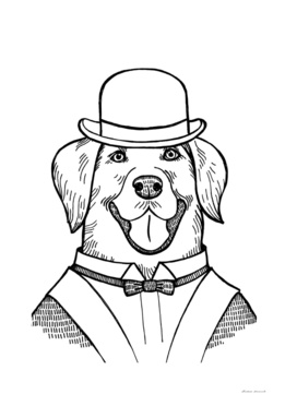 Portrait of a Labrador retriever with a bowler hat