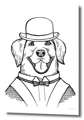 Portrait of a Labrador retriever with a bowler hat