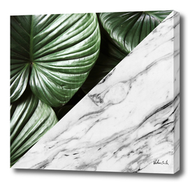 Floral and marble 02
