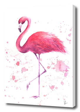 Watercolor flamingo