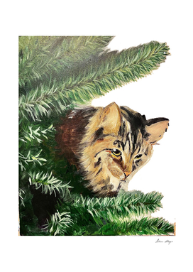 Christmas tree cat