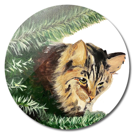 Christmas tree cat